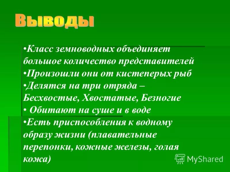 амфибии вывод. класс земноводные вывод. класс земноводные вывод. класс земноводные объединяется в три отряда. класс земноводные вывод.