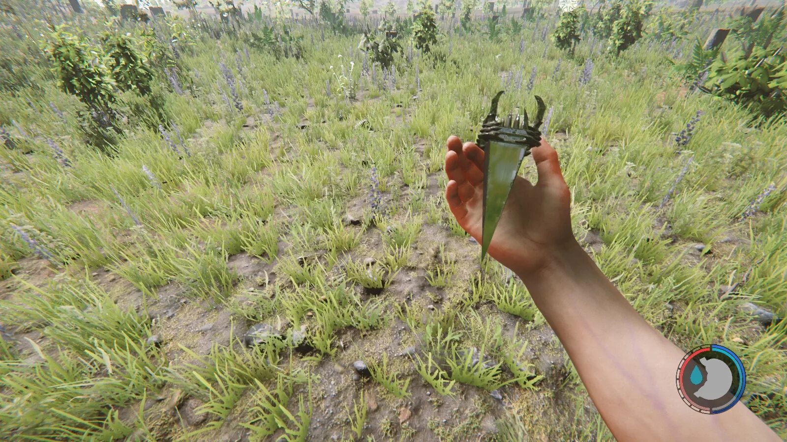 Артефакты в форесте. The forest артефакт. Артефакт из the forest. Алоэ вера зе форест. 4 артефакта в the forest.