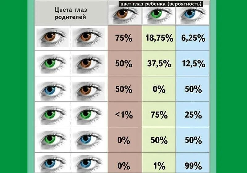 Папа карие глаза мама зеленые. Цвет глаз. Цвет глаз родителей и детей. Оттенки глаз. Вероятность цвета глаз у ребенка.