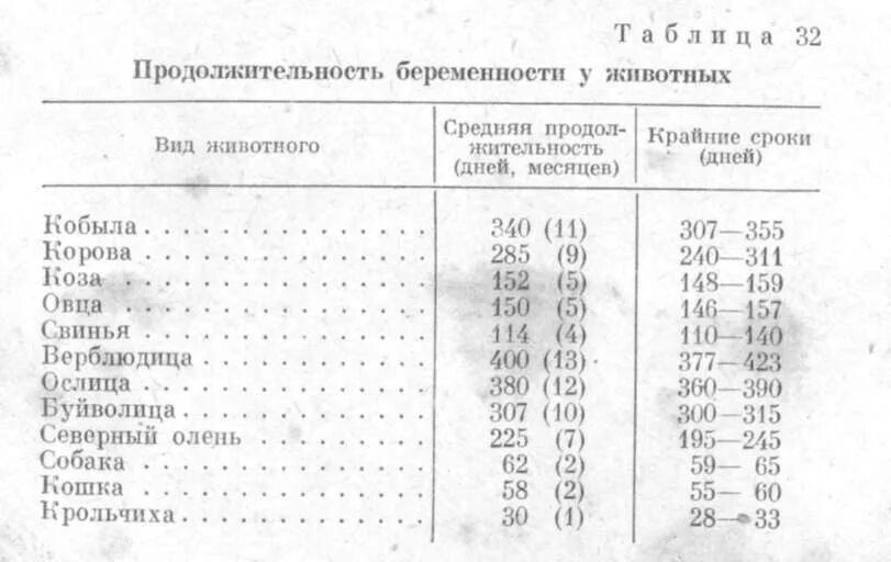 Сроки беременности у животных таблица. Период беременности у животных таблица. Сроки беременности у СХ животных. Продолжительность беременности у КРС.