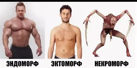 Как получить морфов