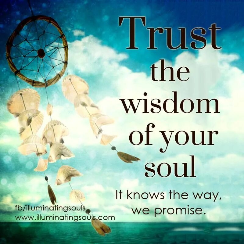 Wisdom перевод на русский. Quotes about Wisdom. Soul Wisdom. Trust your Soul. Wisdom Universal.