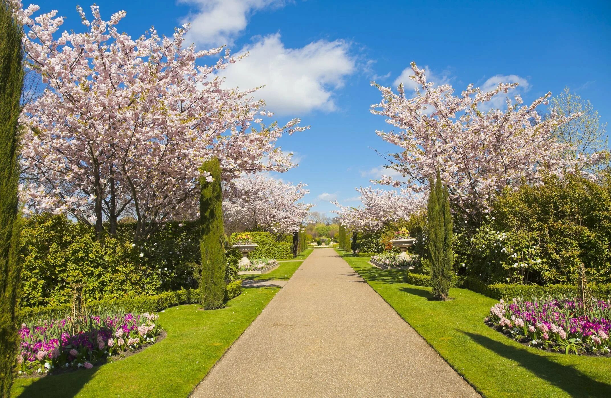 Весеннее дерево. "яблони в цвету", 1935 батурин. Яблоневый сад в ясной поляне. Расцвели сады весной. Цветущие сады.