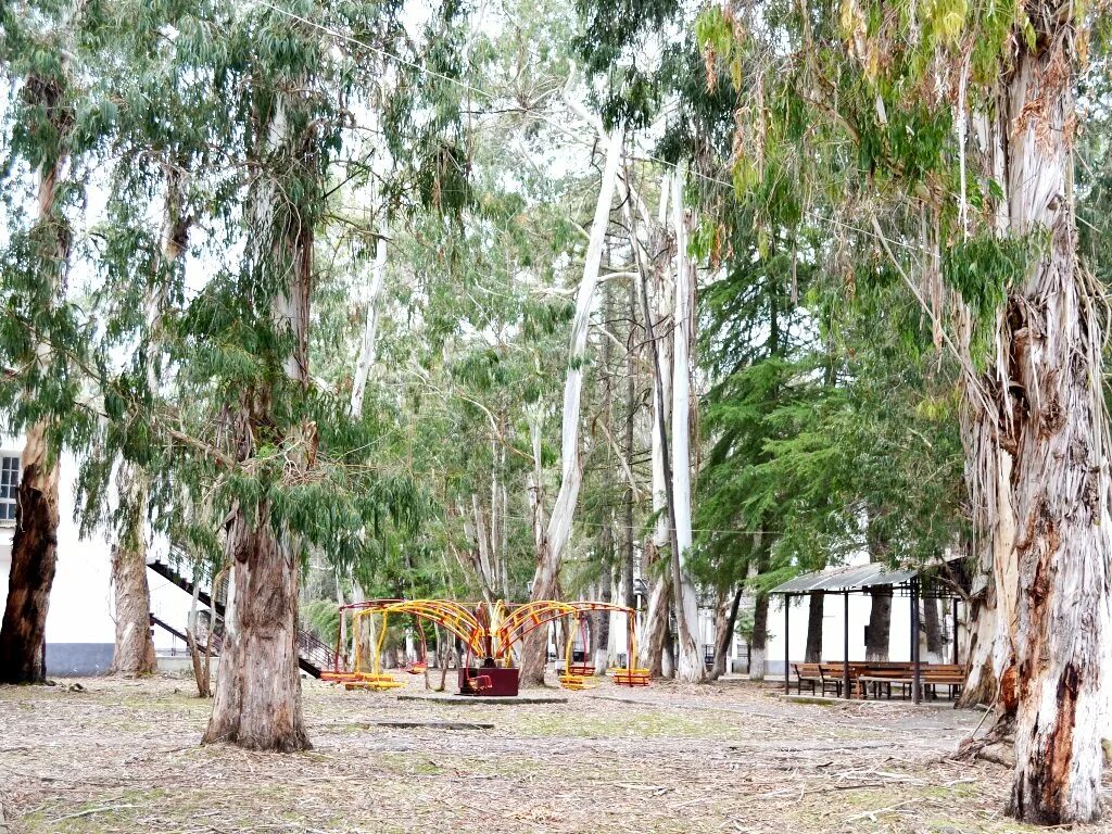 Абхазия очамчира эвкалиптовая роща. Абхазия эвкалиптовая роща пансионат. "эвкалиптовая роща", пансионат 2* (очамчира). Кындыг абхазия эвкалиптовая роща. Эвкалиптовая роща сайт.