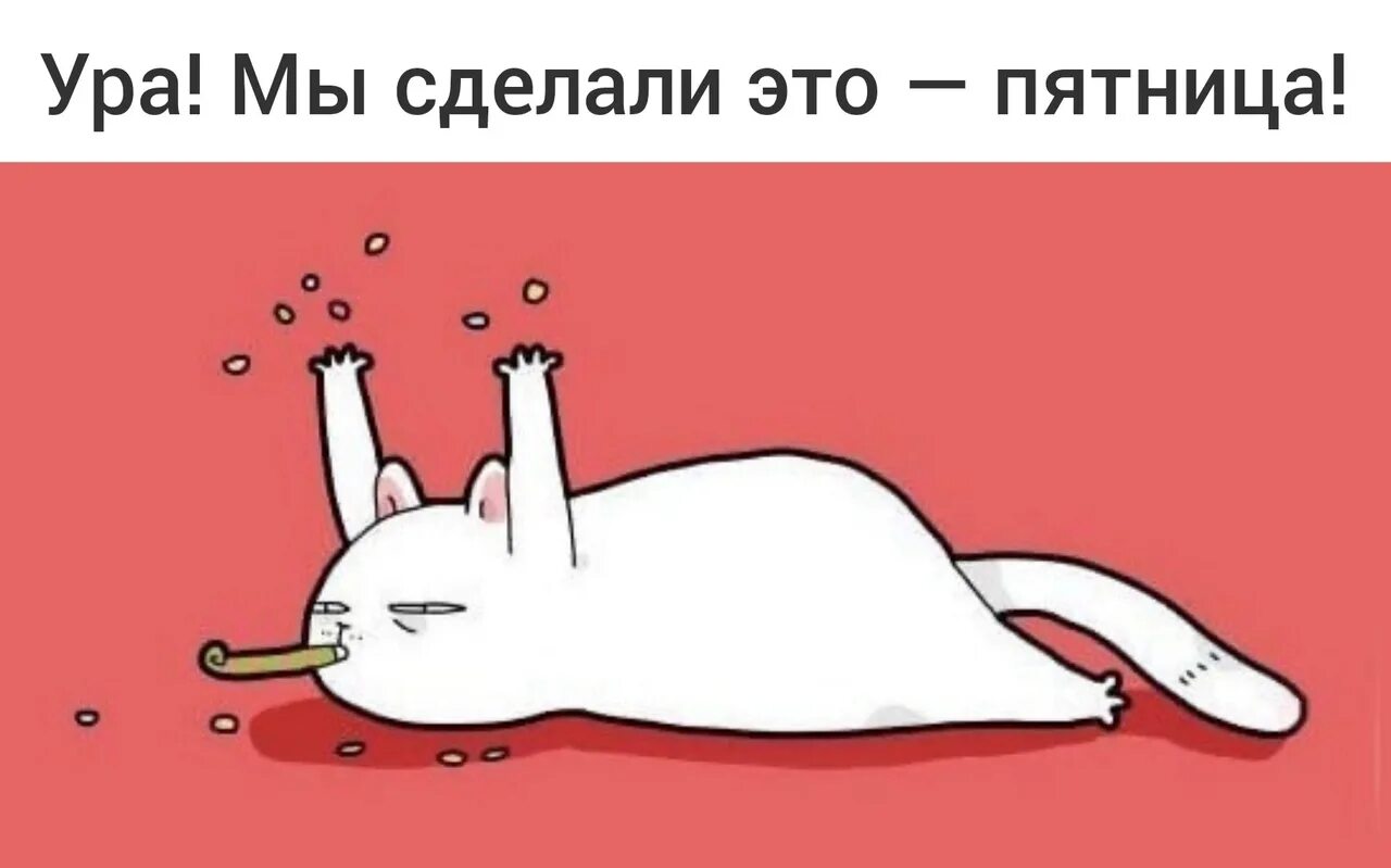 Мой срок кончается в пятницу техник