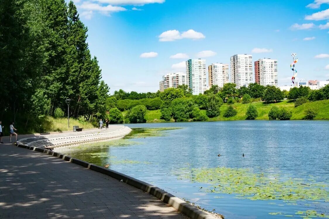 Центральный парк Солнцево. Парк 50-летия октября Москва. Парк 60 летия октября Солнцево. Пруд Солнцево парк. Парк 50 летия октября фото