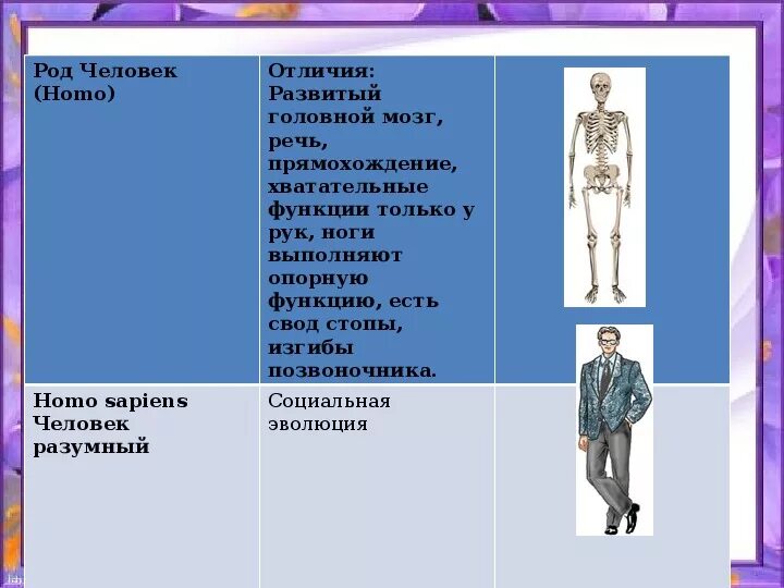 Роды рода различия. Люди (род). Род человек характеристика. Человек как род человек.