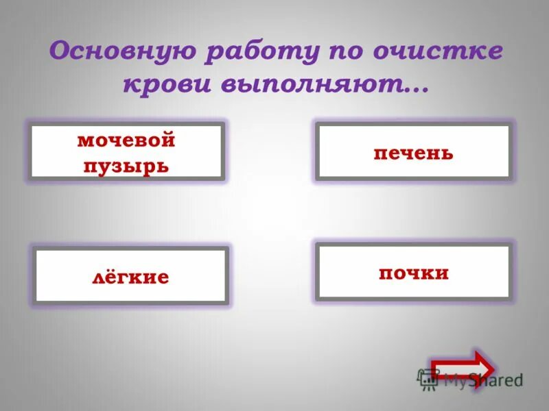 Проверочная работа тела и вещества 3 класс. Проверочная работа тела и вещества 3 класс