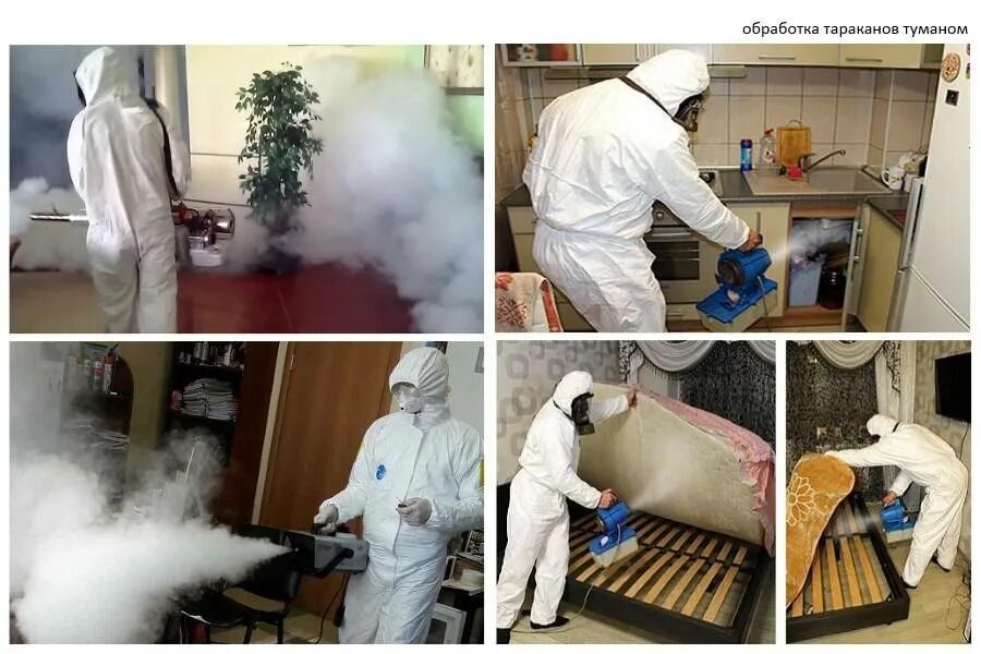 Дезинфекция от клопов туманом. Дезинсекция клопов туманом. дезинсекция тараканов туманом. обработка холодным туманом от тараканов. дезинфекция дезинсекция дератизация.