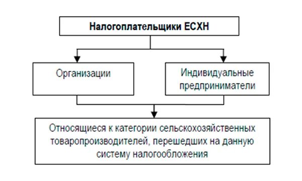 Налогоплательщики единого сельскохозяйственного налога. Единый сельскохозяйственный налог налогоплательщики. Единый сельскохозяйственный налог схема. Единый сельскохозяйственный налог (ЕСХН). ЕСХН схема.