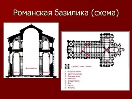 Описание базилики