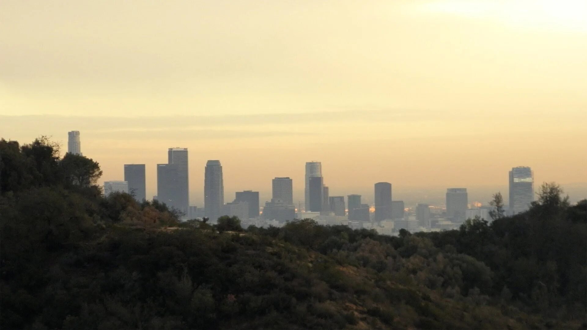 70 холмов. Лос Анджелес вид с холмов. Лорел каньон Лос Анджелес. Лос Анджелес вид с холма туман. Шапка для ютуб los Angeles.