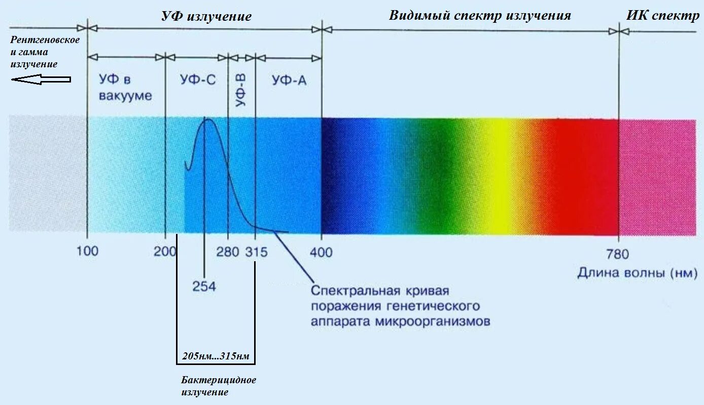 Разрешено ли освещения холодного спектра излучения. Ультрафиолетовая лампа спектр излучения. ультрафиолет бактерицидный спектр. длина волны уф излучения. спектр кварцевой лампы.