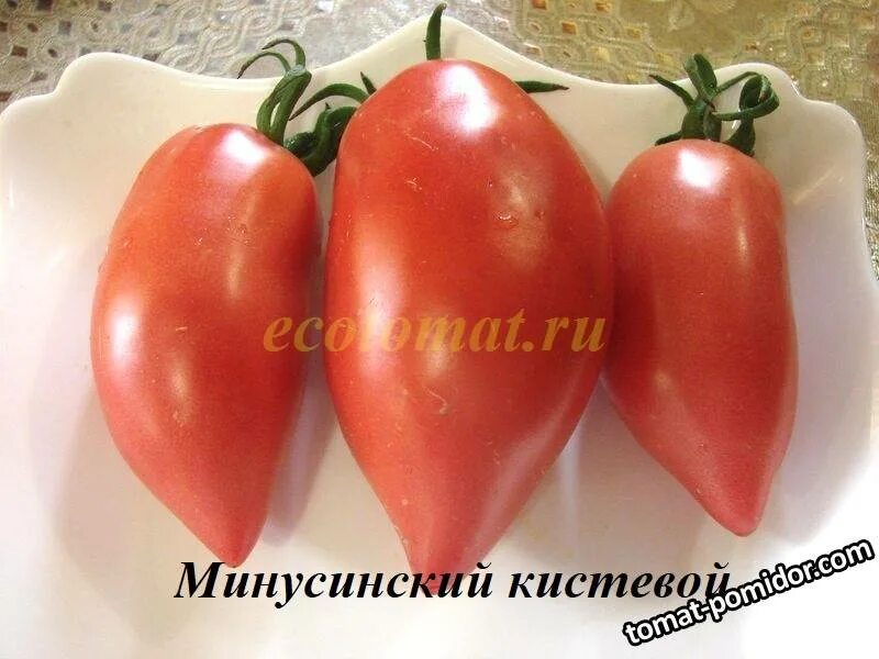 Томат бычье сердце минусинское кистевое. Томат бычье сердце минусинское кистевое. Сорт помидор перцевидный минусинский. Томат итальянский кистевой. Сорт томата минусинский кистевой.