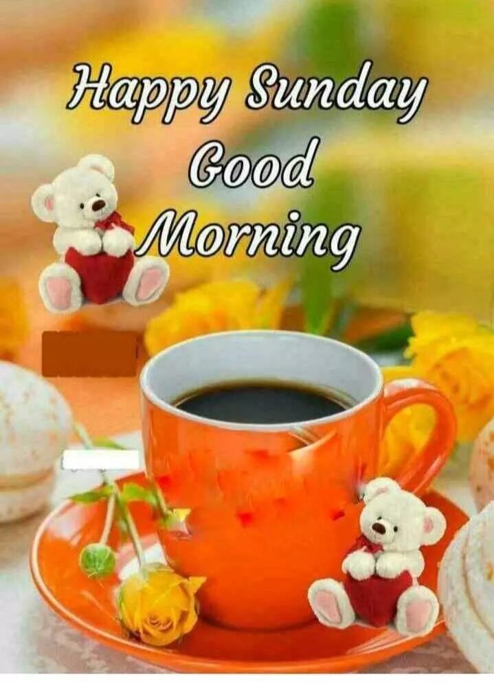 Have a good sunday картинки. Sunday morning. Good morning sunday картинки. Good morning have a beautiful day воскресенье. Чашка кофе в воскресенье.
