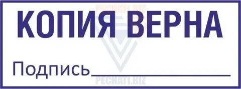 Копия верна текст