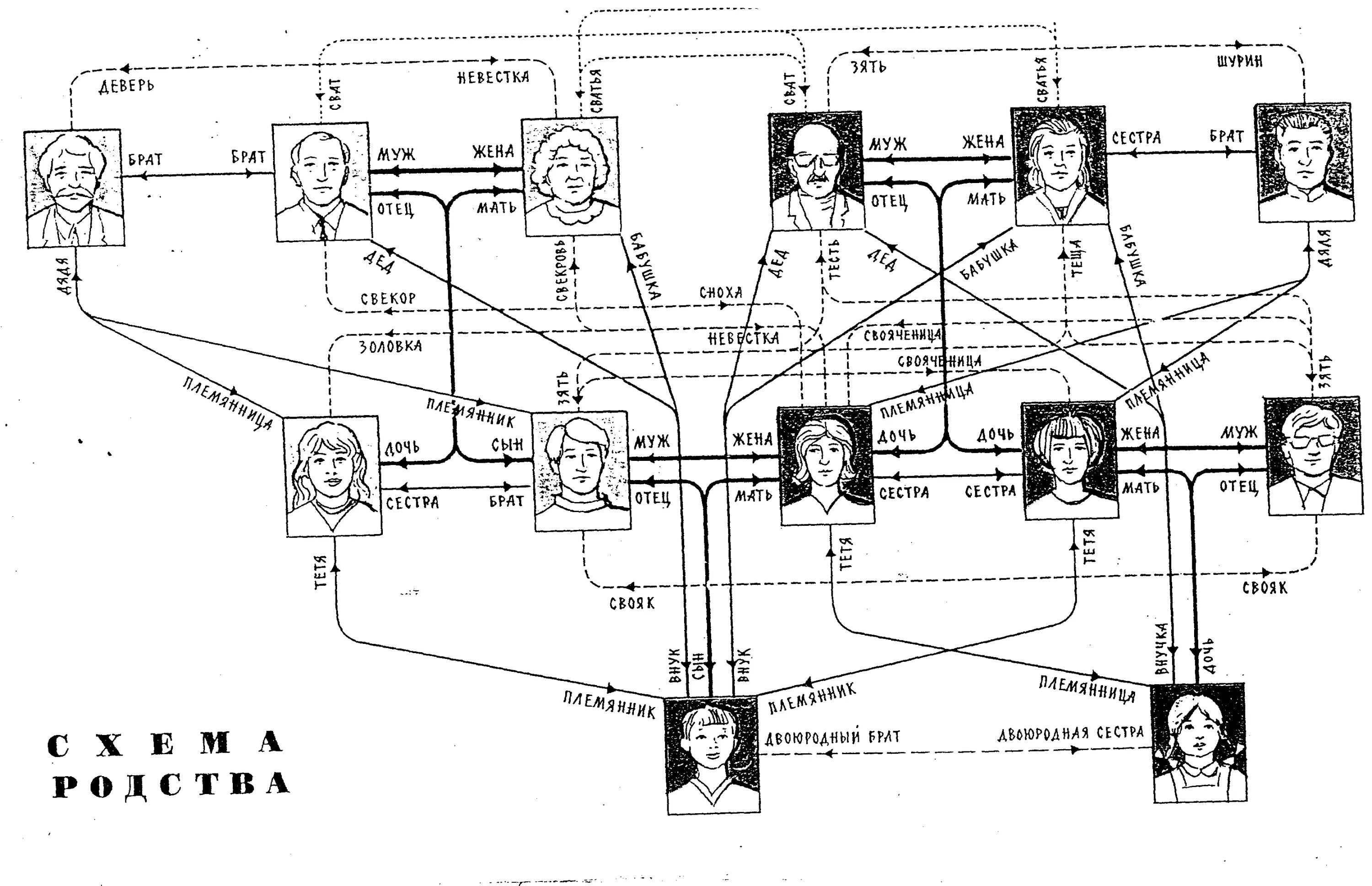 Родственные связи схема родства. Родственные связи Древо схема. Родословная семьи кто кем приходится. Родственные связи схема полная. Как называется сводная сестра сводного брата