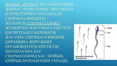 Орыс эротикалық саунасы