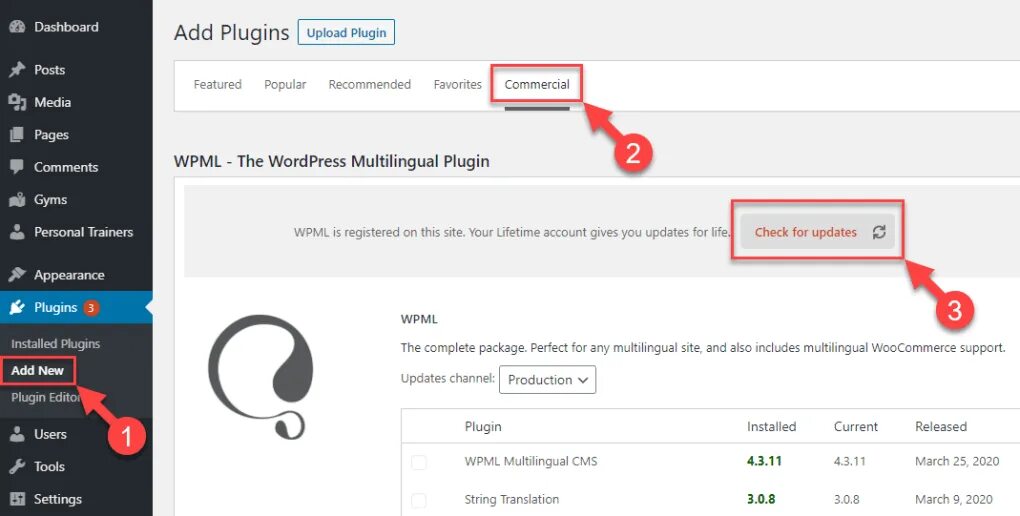 Плагин для вб. WPML WORDPRESS plugin. WPML Multilingual cms. Исправление ошибок на WORDPRESS. Плагины min Max WORDPRESS.