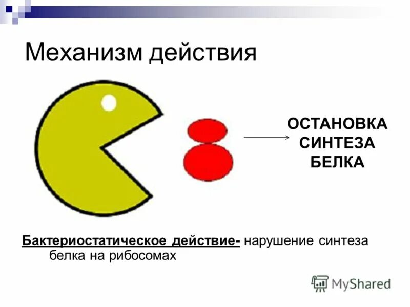 Нарушает синтез белка. Нарушение синтеза белка. Нарушение процессов синтеза и распада белков в организме.. Причины нарушений синтеза белка. Антибиотики нарушающие Синтез белка на рибосомах.