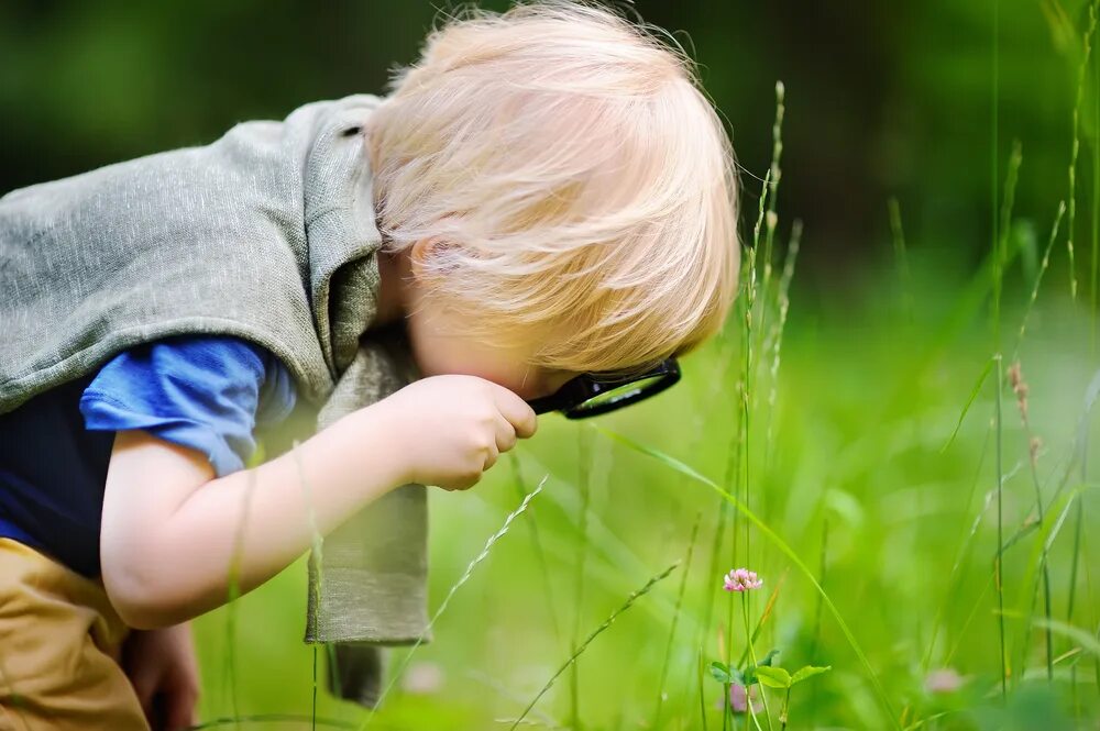 Любопытство 3. Любопытство. Любознательность природа дети. Любознательность к природе. Фотография любознательность ребенка.