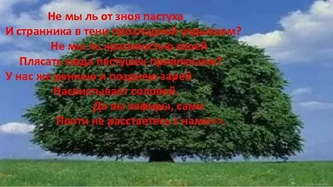 2 листы и корни