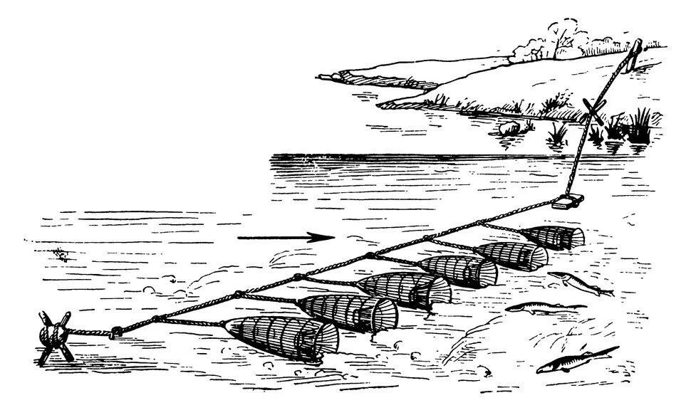 Замените ловля рыбы. Запрещенные орудия лова рыбы. Рыбак на озере. Ловля вершей. Замените ловля рыбы.