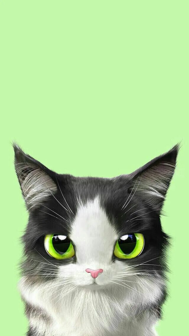 Pin by ᄂYПDΛ on *Green Cat photography, Black cat appreciation day, Black cat