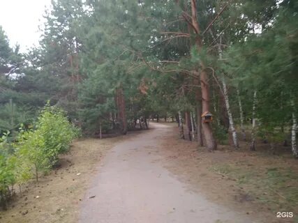 Дендропарк самарская область тольятти дендропарк