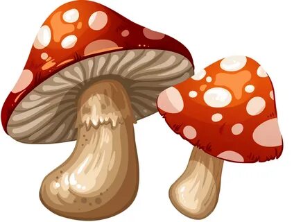 Олар топта біреуін ұрады