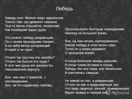 Бальмонт белый лебедь стихотворение