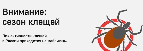 Активность клещевого энцефалита. Активность клещей по месяцам