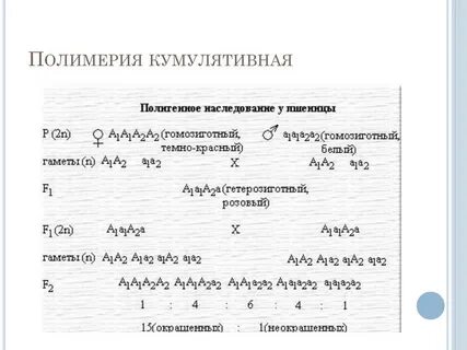 Расщепление при некумулятивной полимерии