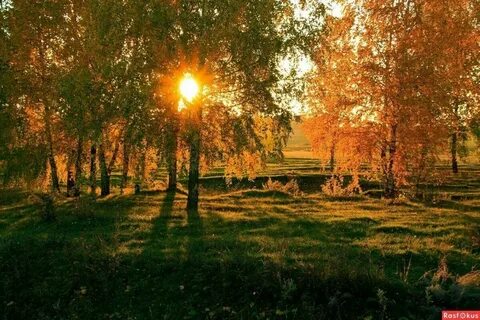 Пейзаж солнечный день