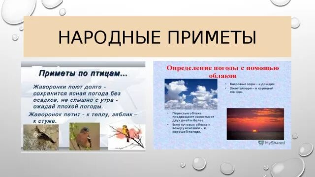 Презентация "Помогают ли народные приметы определить погоду?