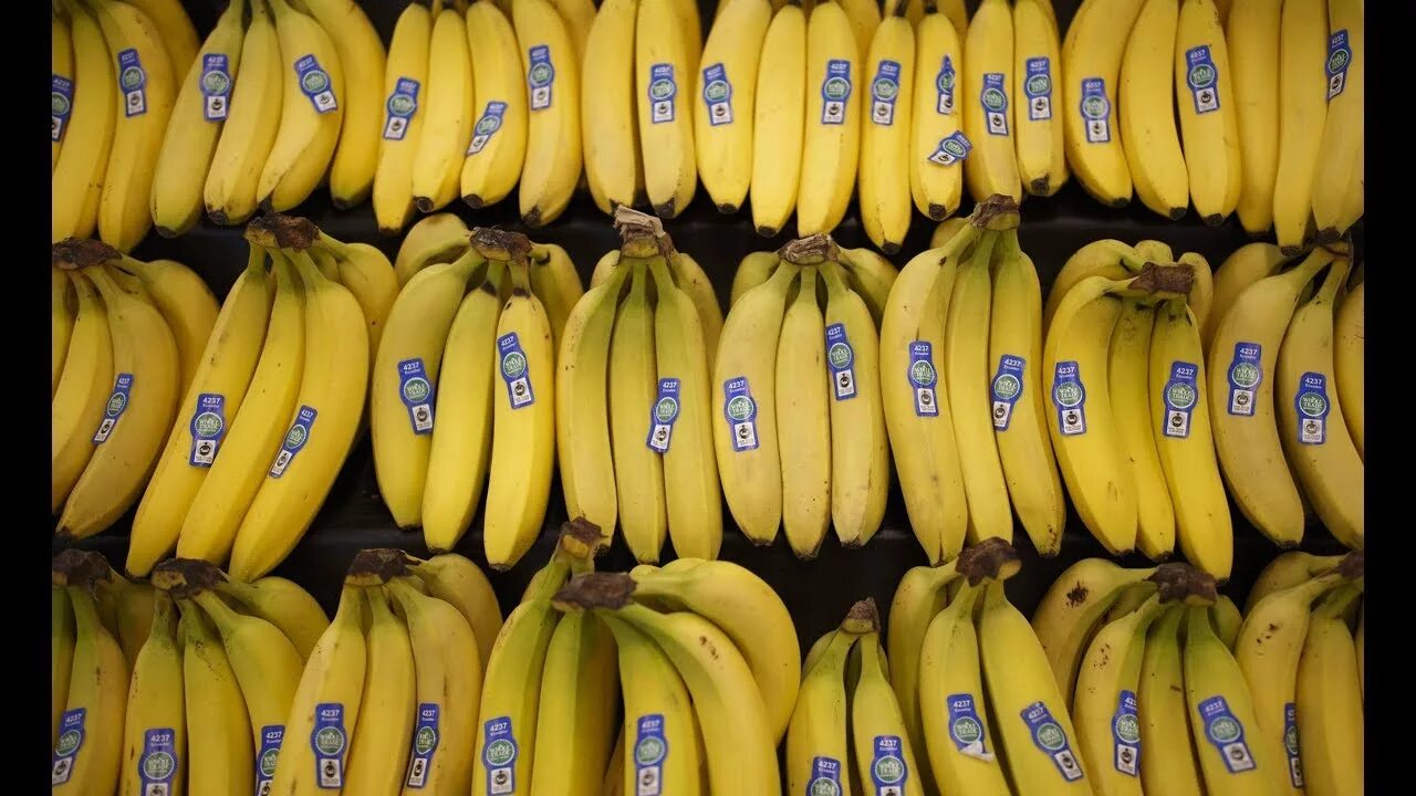 Bananashop