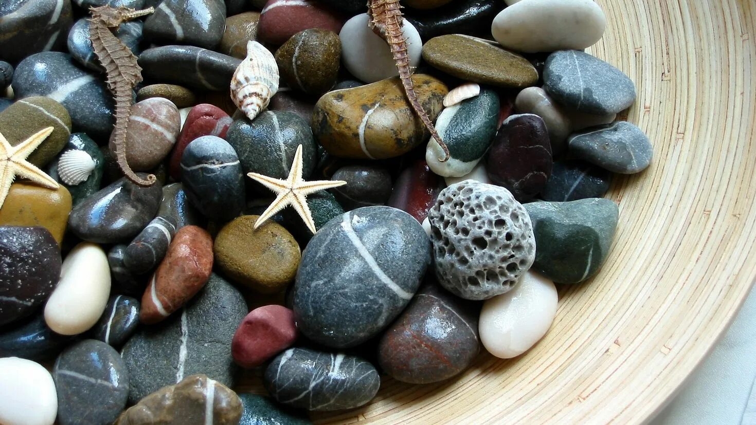 Камень моряков. Камень галька крупная. Камни кварц морская галька. Камень моряков. Красивые камушки.