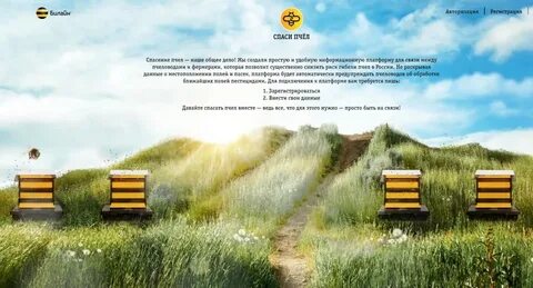 Симбочка пчелы