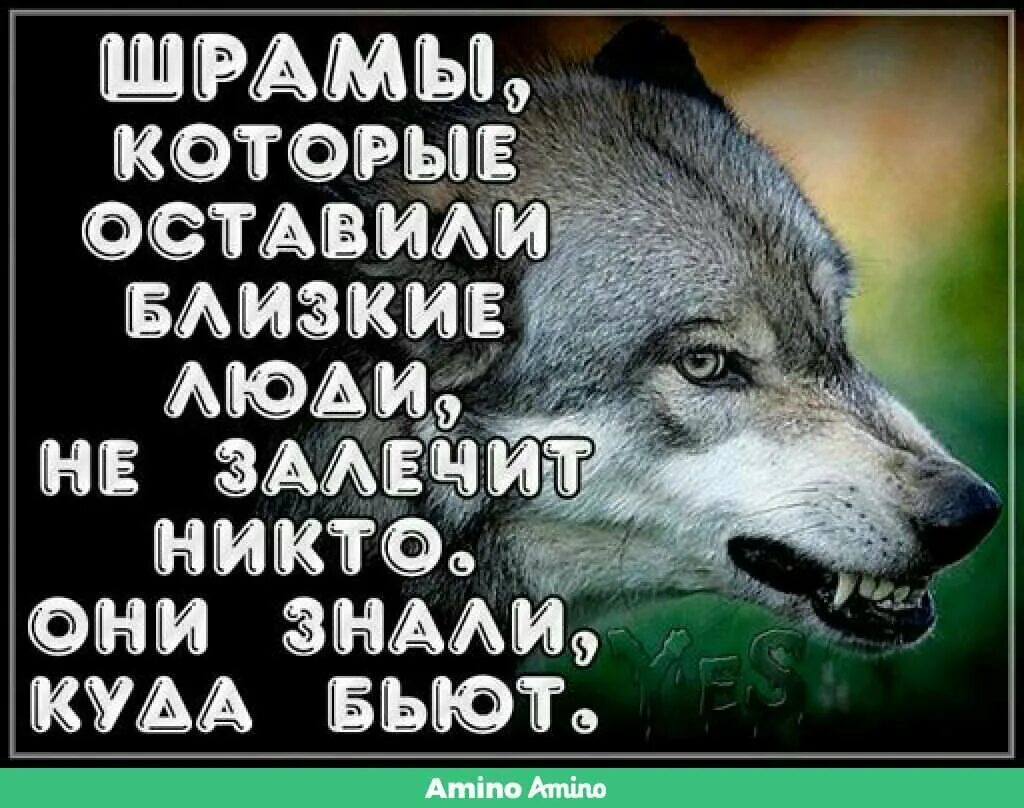 Они знали все особенности. Любопытные исторические факты. Цитаты про людей. В один прекрасный день я. Мудрые слова фон.