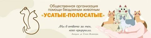 Усатый полосатый приют кемерово