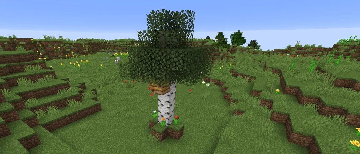 Minecraft first