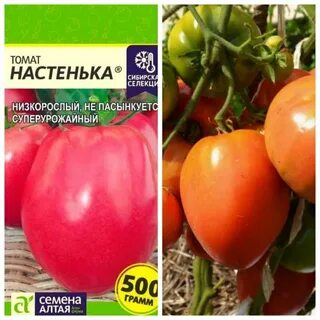 Томат настенька характеристики сорта