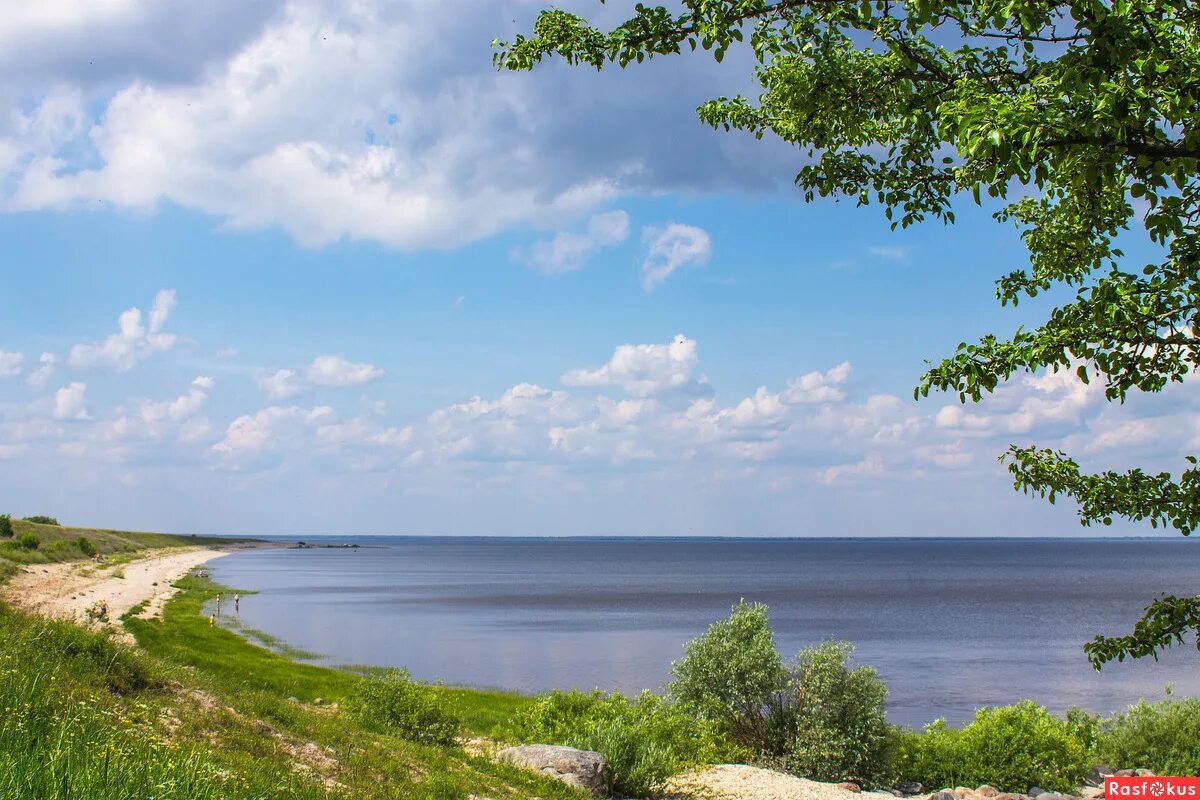 Озеро Ильмень Коростынь. Озеро Ильмень Новгородская. Озеро Ильмень Старая Русса. Великий Новгород Ильмень Коростынь. Киев возник на озере ильмень