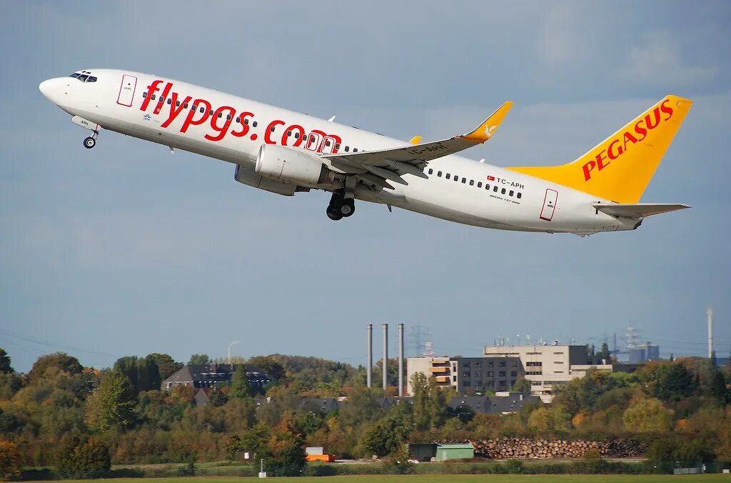 Пегасус купить авиабилеты на русском. Boeing 737 Pegasus Airlines. Боинг 737-800 Pegasus Airlines. АК Пегасус.