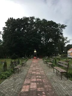 Работу ладушкин