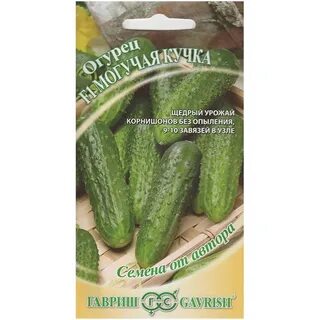Сорт огурцов реванш