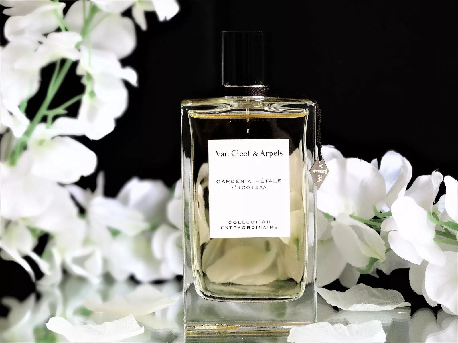 Ван Клиф gardenia petale. Van Cleef Arpels gardenia petale. Van Cleef & Arpels collection extraordinaire gardenia petale EDP. Van Cleef & Arpels gardenia petale EDP 75ml. Клиф энд