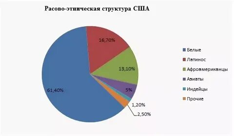 Какой этнический состав сша