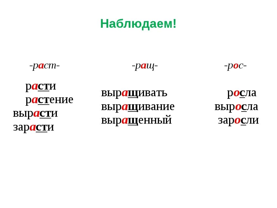 Орфограмма раст рос. Слова на раст рос. Орфограмма раст ращ рос. Раст рос примеры. Раз рос корни