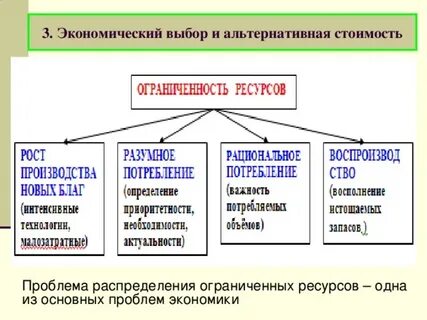 Примеры сложности хозяйства